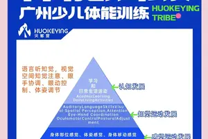 为什么分卫需要特别注重体能训练:提升赛场表现的两大策略